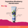 Fayankou Blueberry Hand Cream – Deep Moisture & Anti-Aging Care (30g)