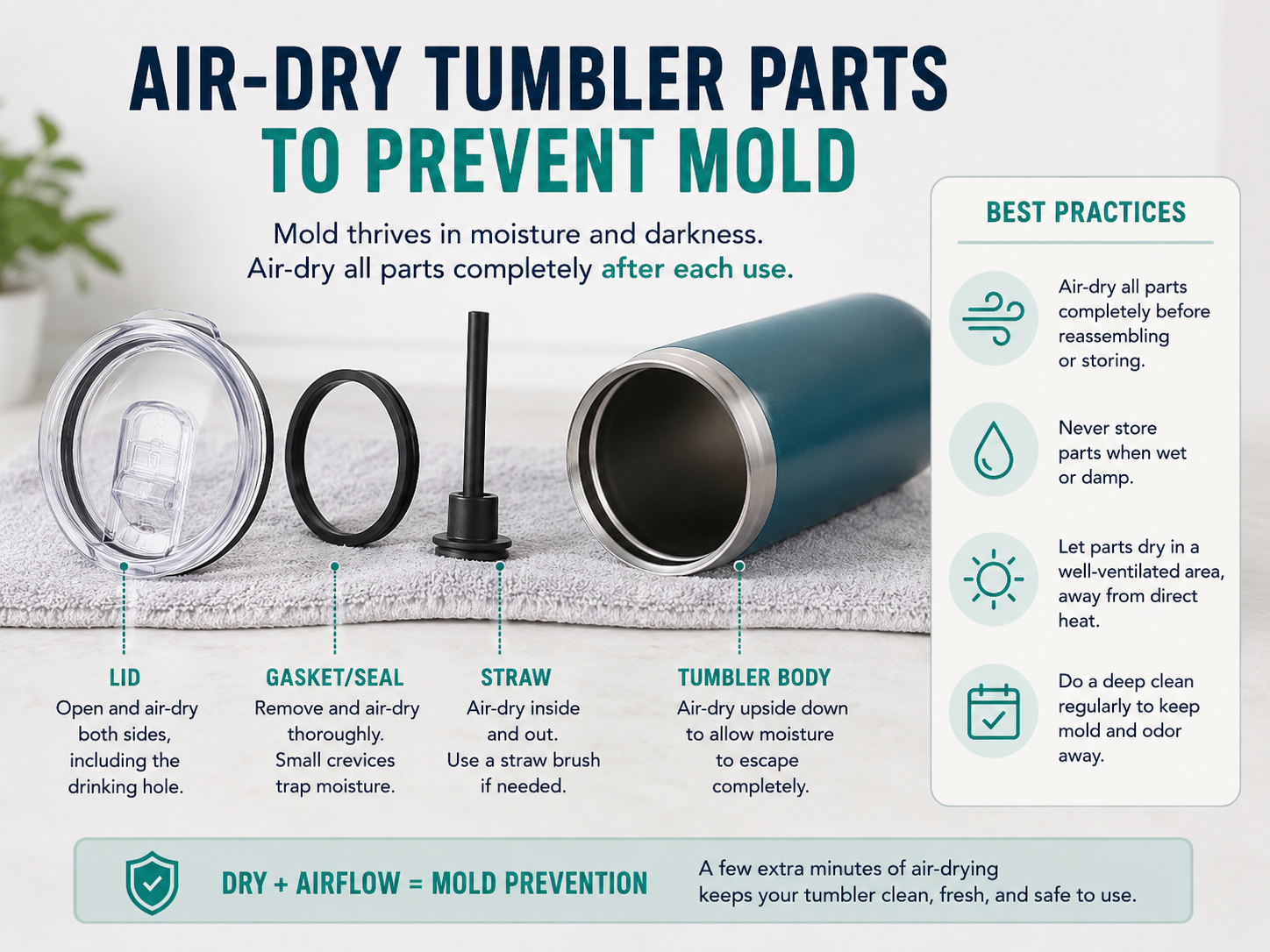 air-dry tumbler parts to prevent mold with tumbler cleaning brushes